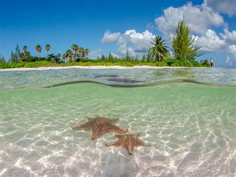 camayan island|17 of the best things to do in Grand Cayman .